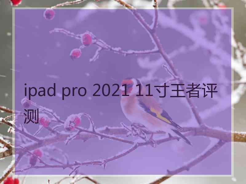 ipad pro 2021 11寸王者评测