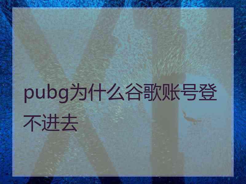 pubg为什么谷歌账号登不进去