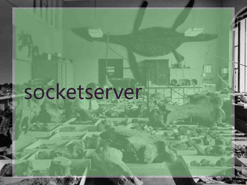 socketserver