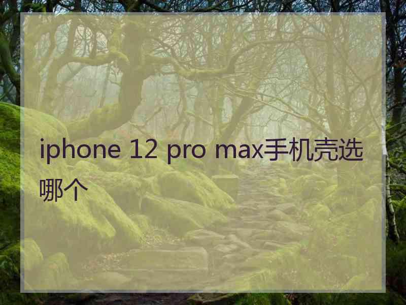 iphone 12 pro max手机壳选哪个