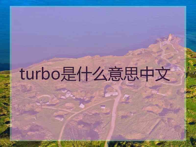 turbo是什么意思中文