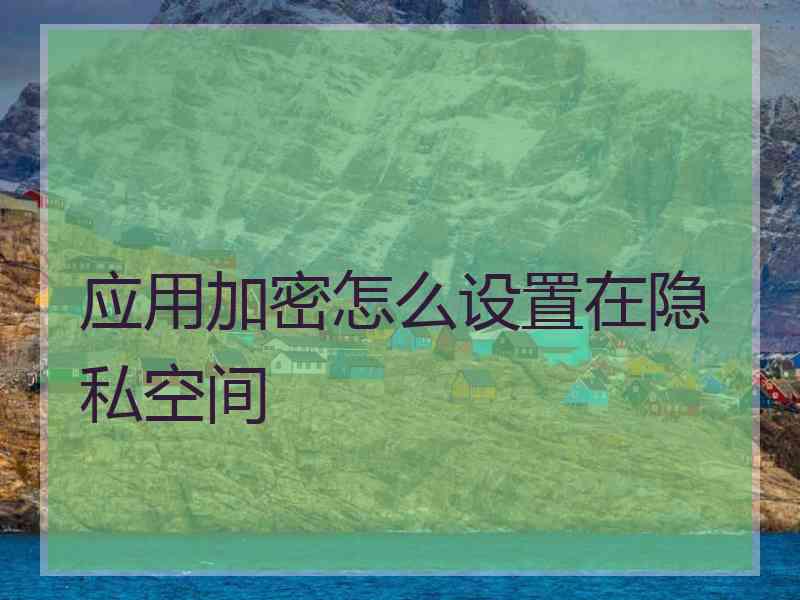 应用加密怎么设置在隐私空间