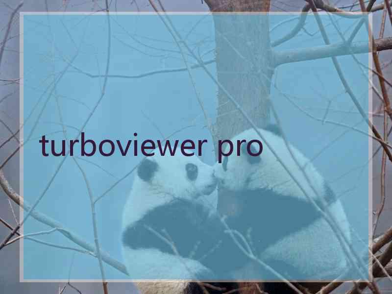 turboviewer pro