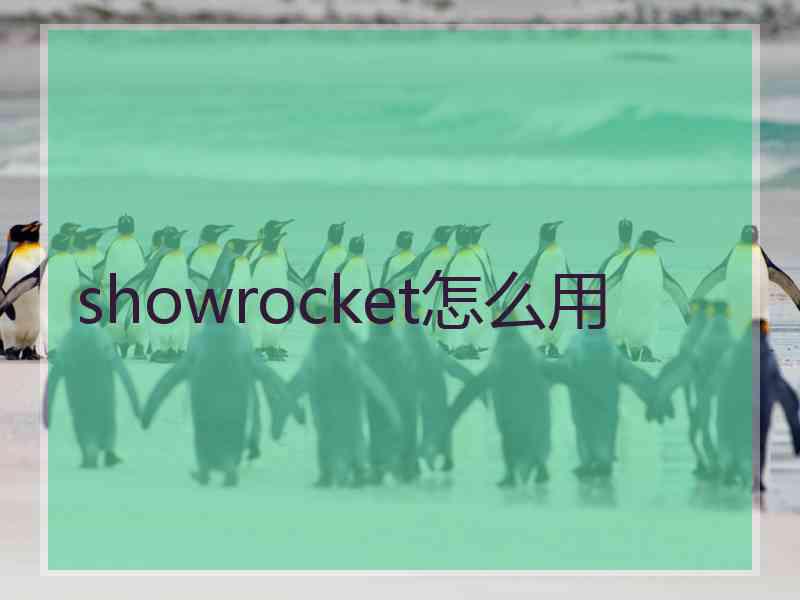 showrocket怎么用