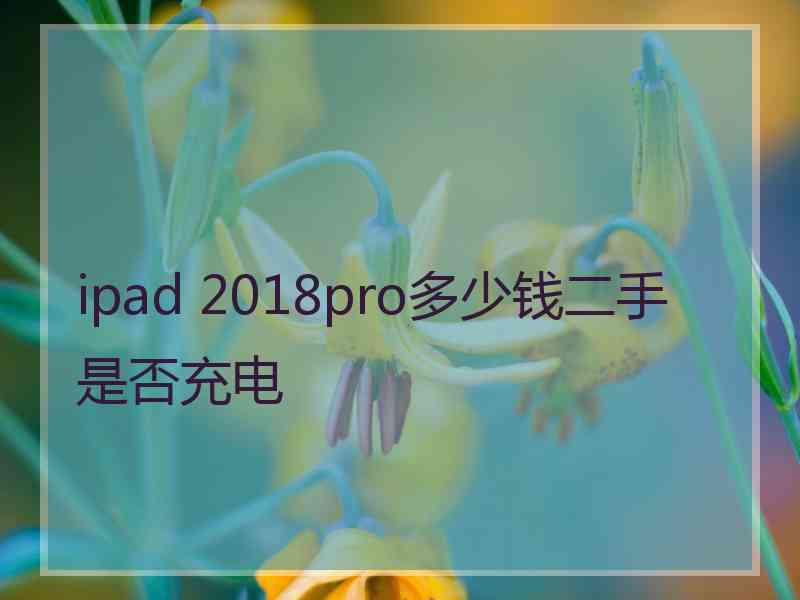 ipad 2018pro多少钱二手是否充电