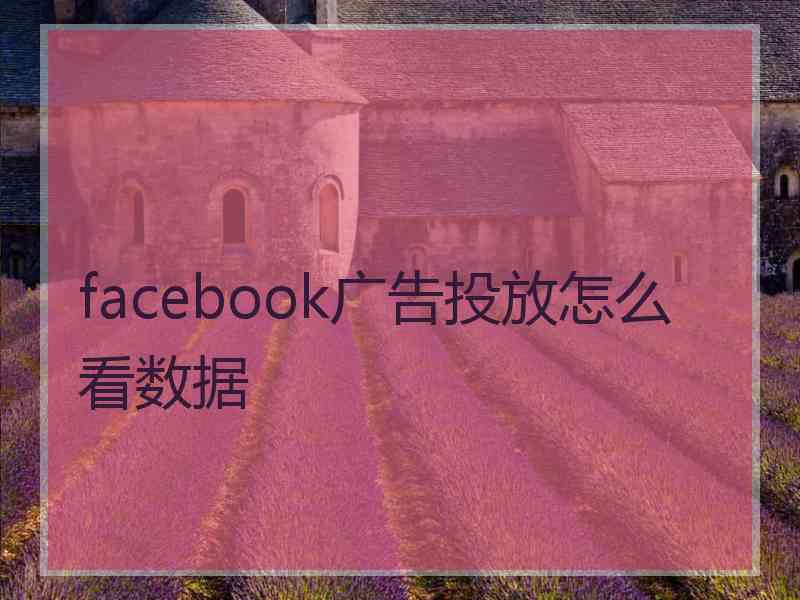 facebook广告投放怎么看数据