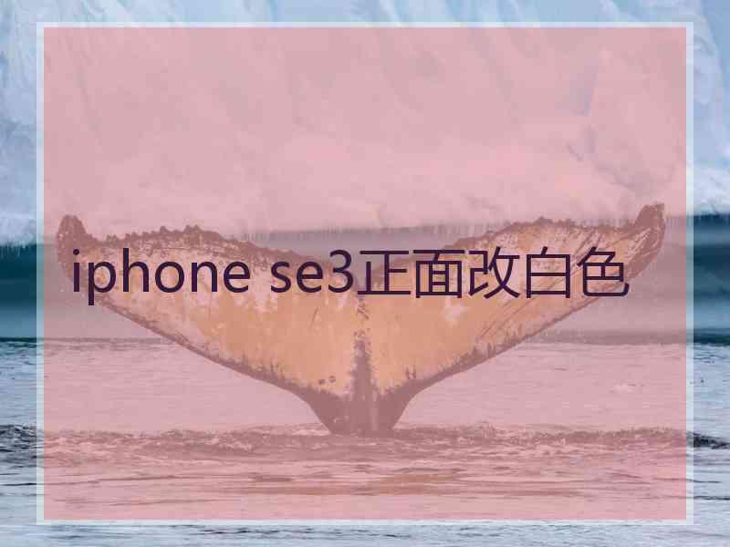 iphone se3正面改白色