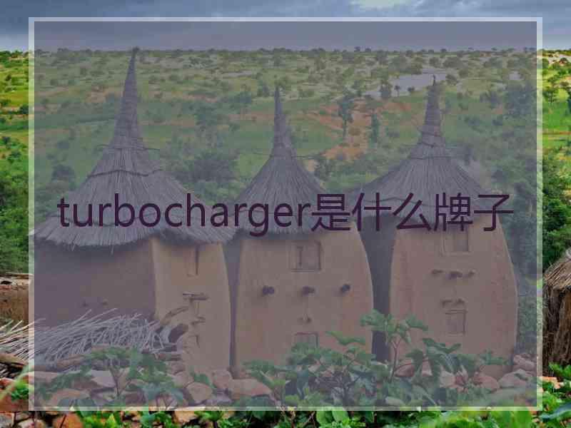 turbocharger是什么牌子