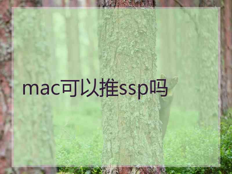 mac可以推ssp吗