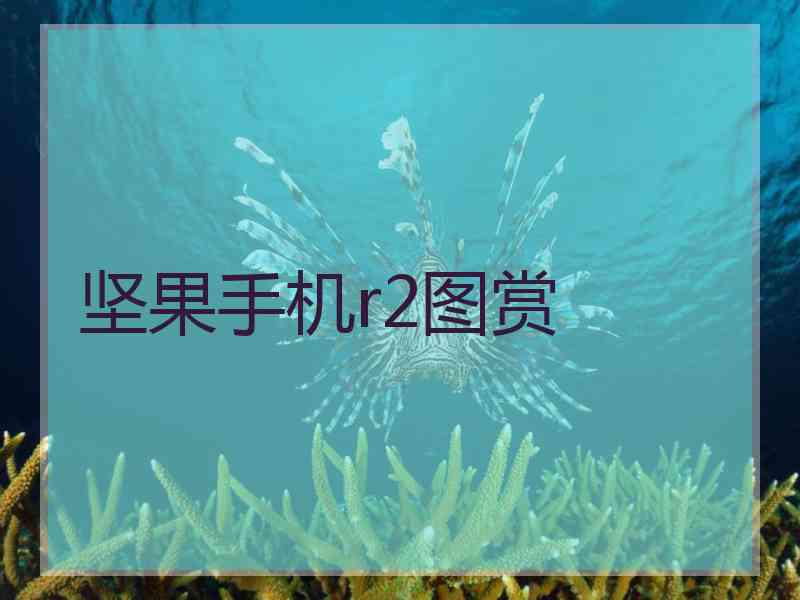 坚果手机r2图赏