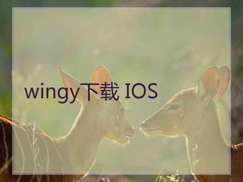 wingy下载 IOS