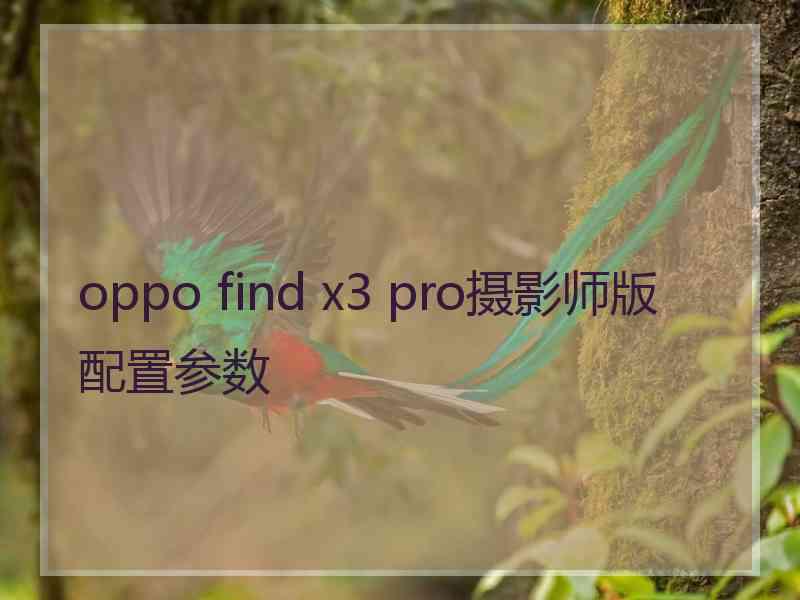 oppo find x3 pro摄影师版配置参数