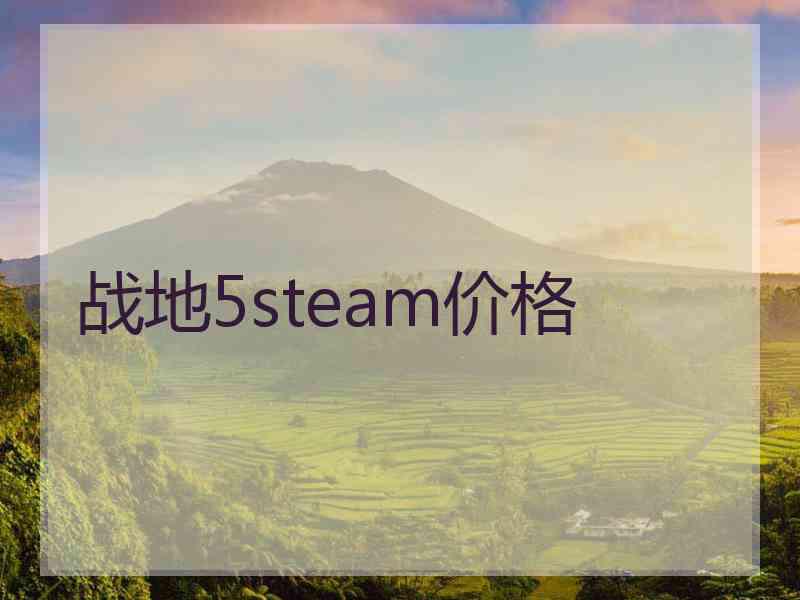 战地5steam价格