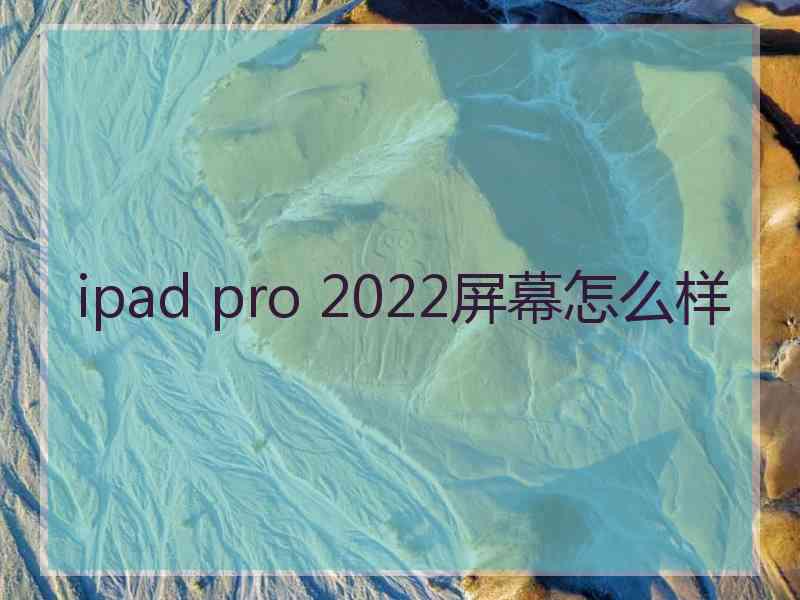 ipad pro 2022屏幕怎么样