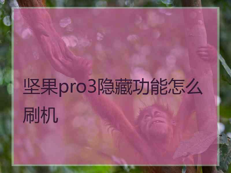 坚果pro3隐藏功能怎么刷机