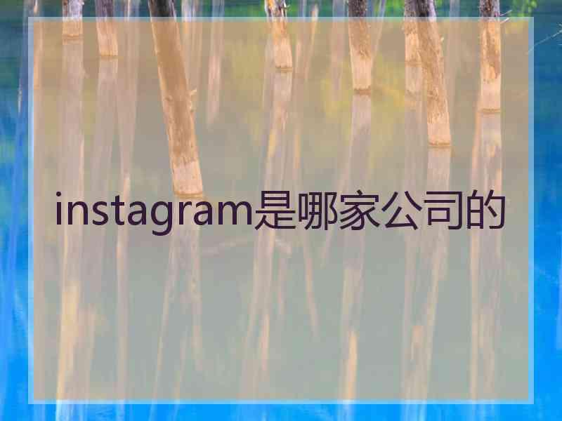 instagram是哪家公司的