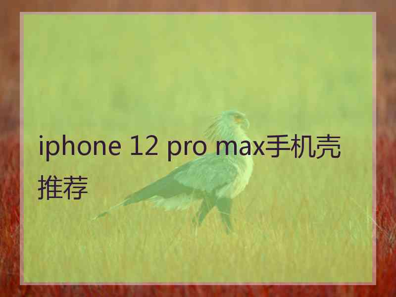 iphone 12 pro max手机壳推荐