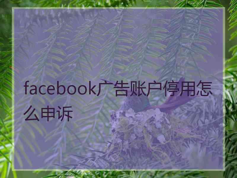 facebook广告账户停用怎么申诉