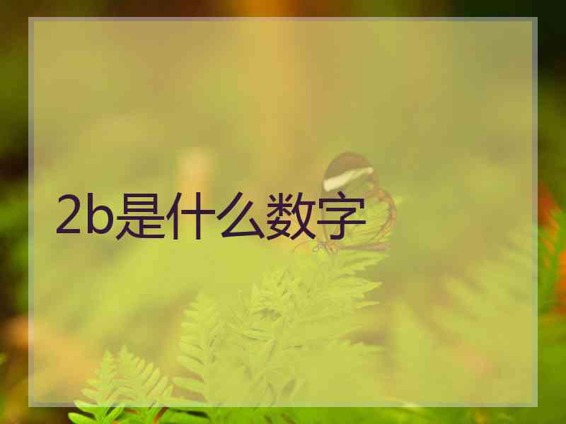 2b是什么数字