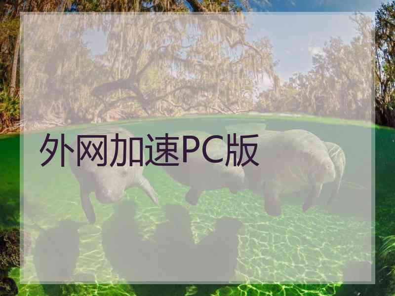 外网加速PC版