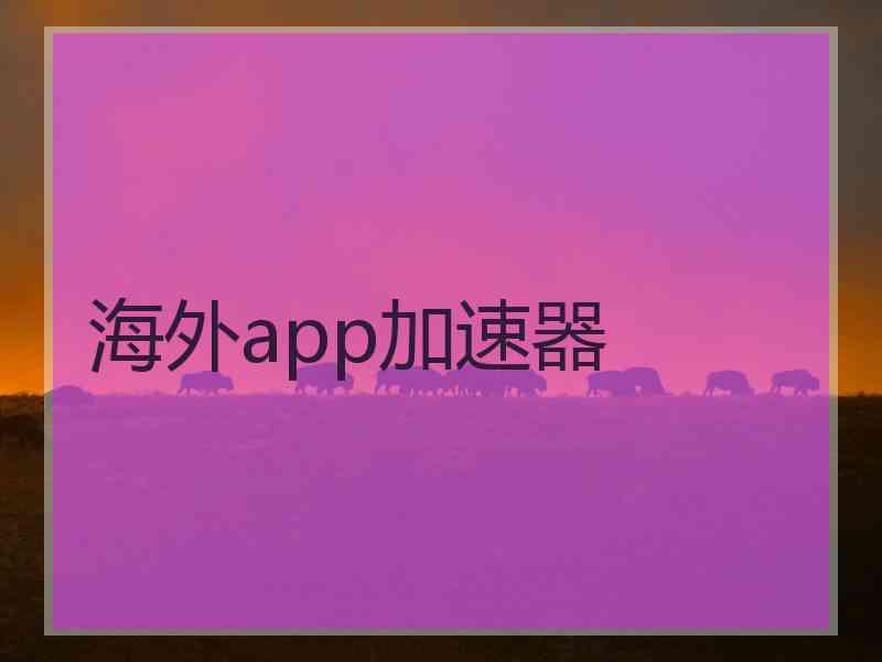 海外app加速器