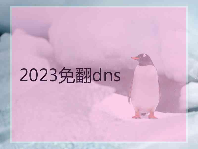 2023免翻dns