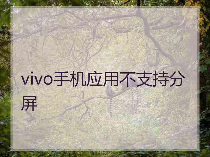 vivo手机应用不支持分屏