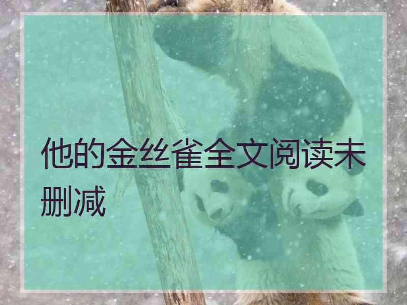 他的金丝雀全文阅读未删减