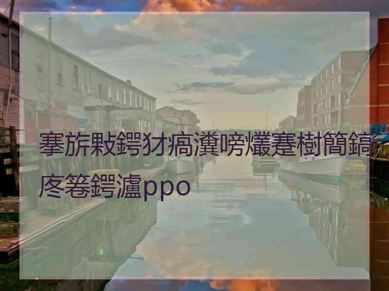 搴旂敤鍔犲瘑瀵嗙爜蹇樹簡鎬庝箞鍔瀘ppo