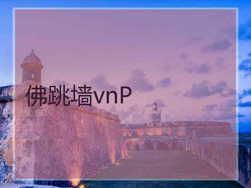 佛跳墙vnP