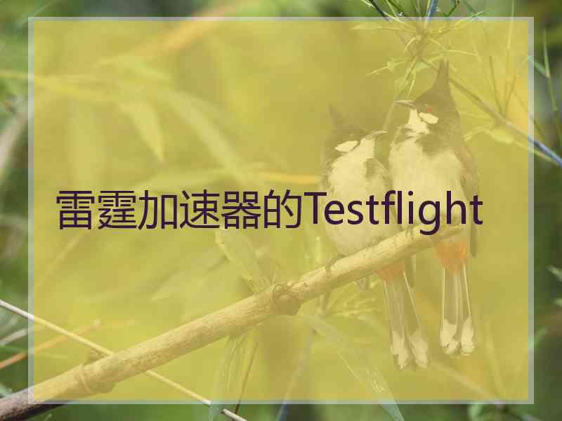 雷霆加速器的Testflight