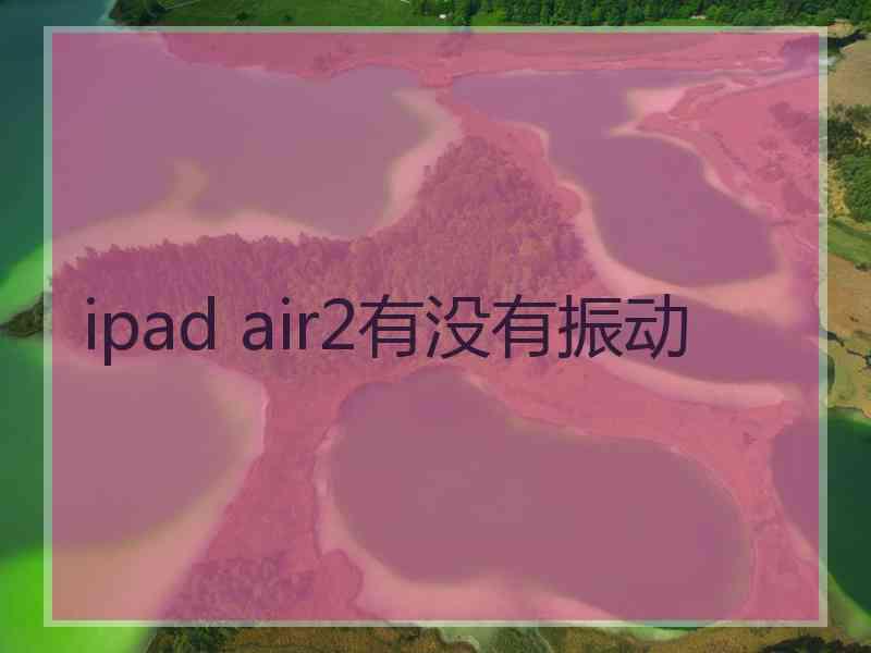 ipad air2有没有振动