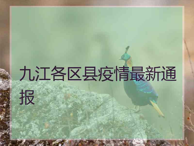 九江各区县疫情最新通报