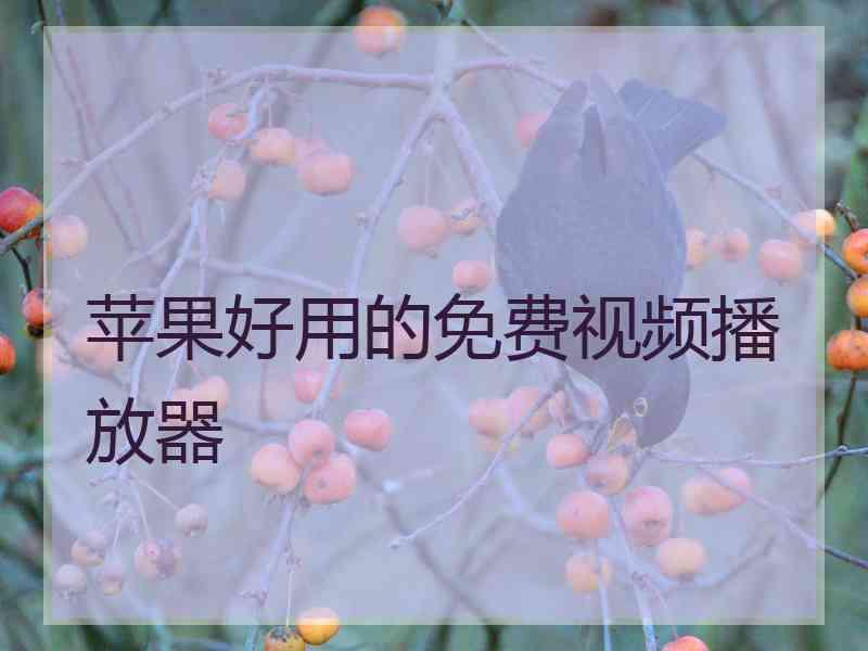 苹果好用的免费视频播放器