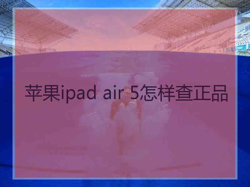 苹果ipad air 5怎样查正品