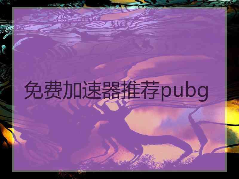 免费加速器推荐pubg