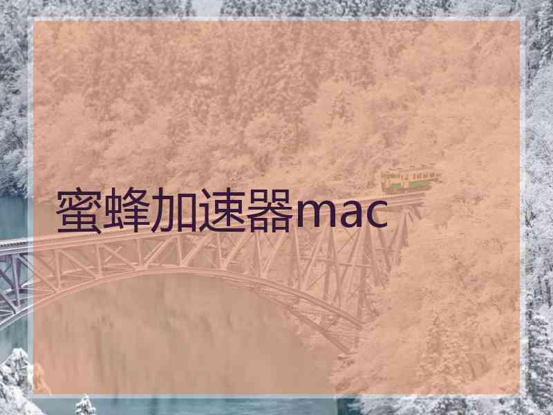 蜜蜂加速器mac