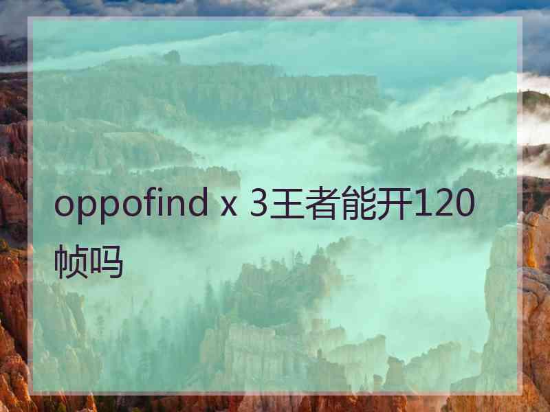 oppofind x 3王者能开120帧吗