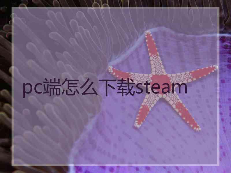 pc端怎么下载steam