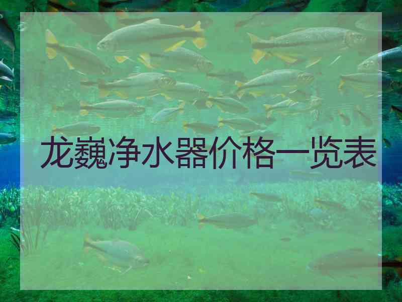 龙巍净水器价格一览表