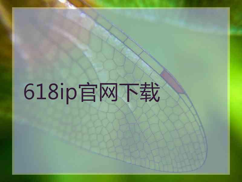 618ip官网下载