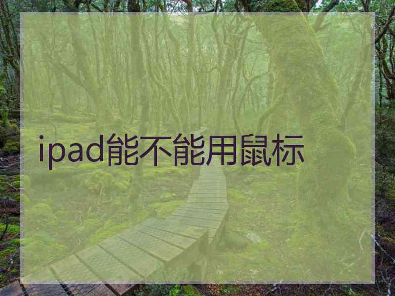 ipad能不能用鼠标