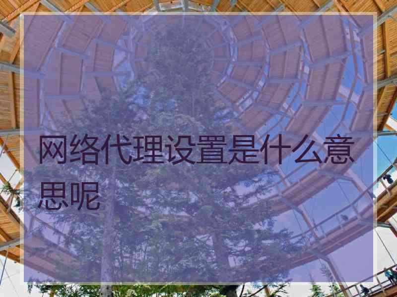 网络代理设置是什么意思呢