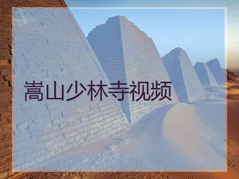 嵩山少林寺视频