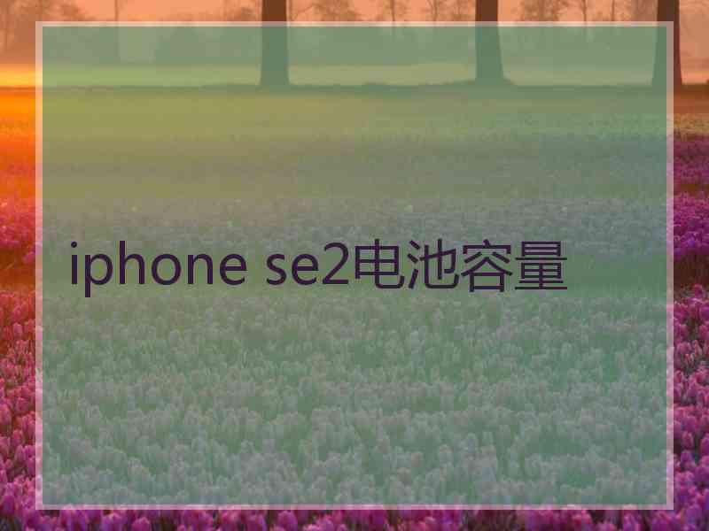 iphone se2电池容量