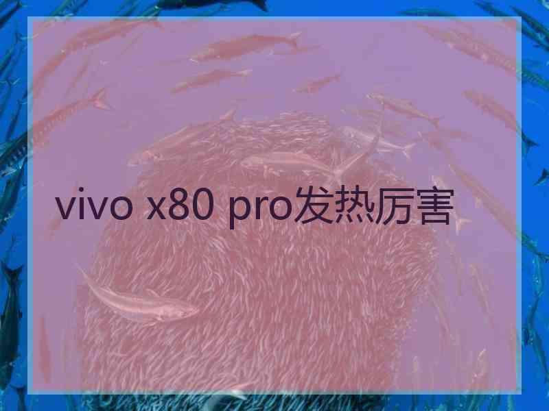 vivo x80 pro发热厉害