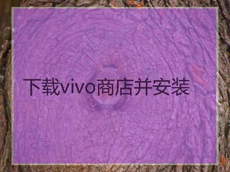 下载vivo商店并安装