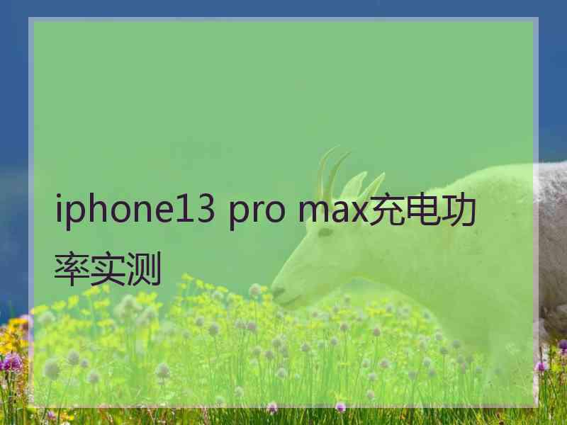 iphone13 pro max充电功率实测