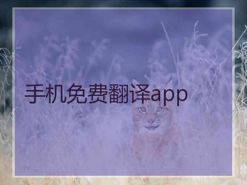 手机免费翻译app