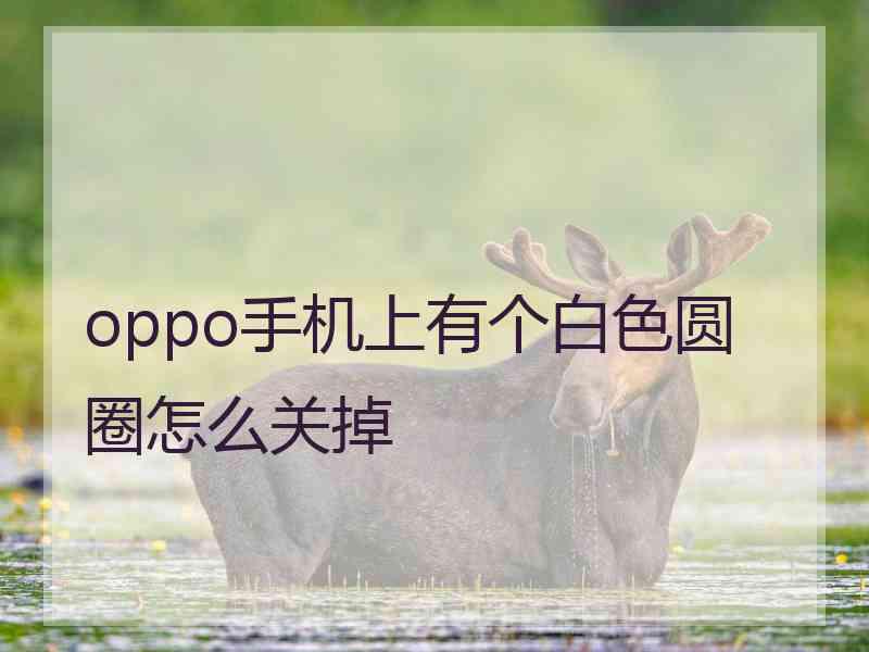 oppo手机上有个白色圆圈怎么关掉